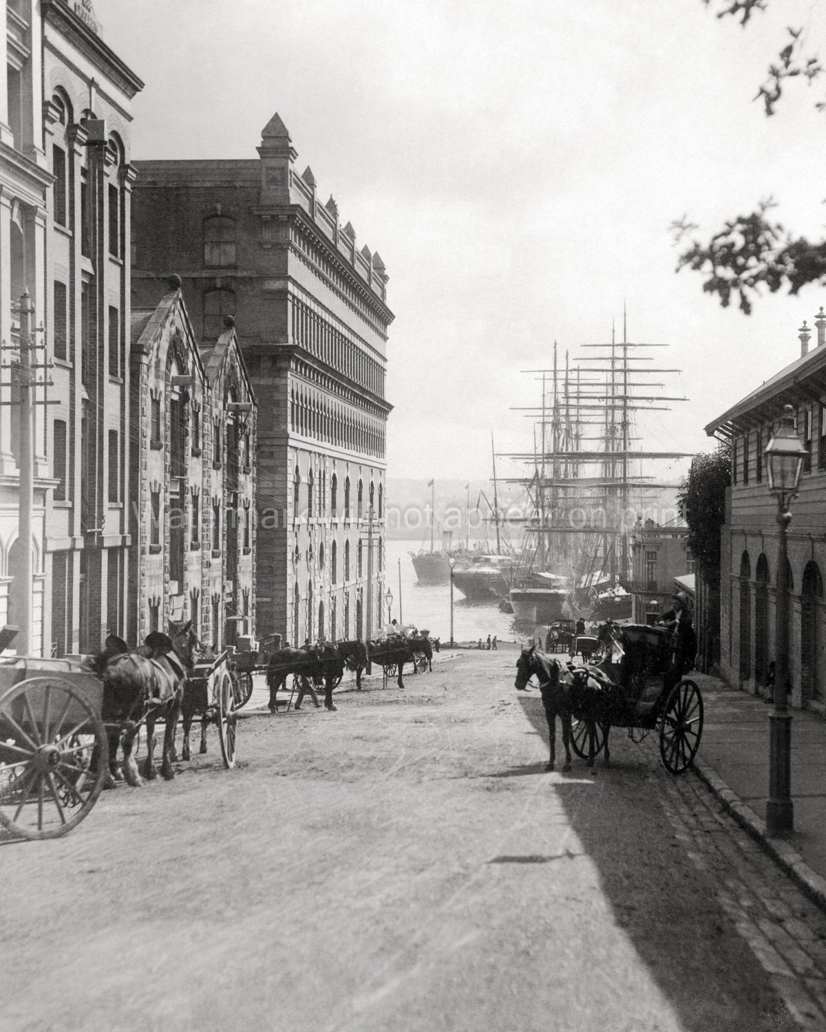 Sydney Phillip Street Harbour Ships Horses Carts Buildings Vtg. Photo 19thC.