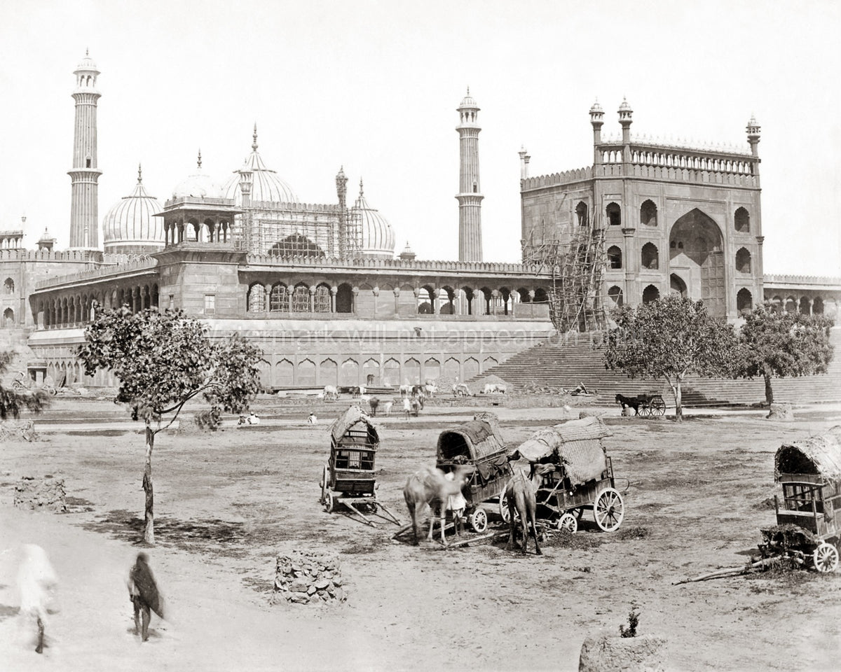 Camels Carts Jama Masjid Delhi India Mosque Repair Vtg. Photo 19thC.
