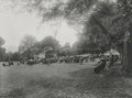 Victoria Park Bath Somerset Bandstand Concert Audience Leisure Vtg. Photo 19thC.
