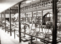 Christchurch Museum New Zealand Skeletons Dinosaurs Exhibit Vtg. Photo 19thC.