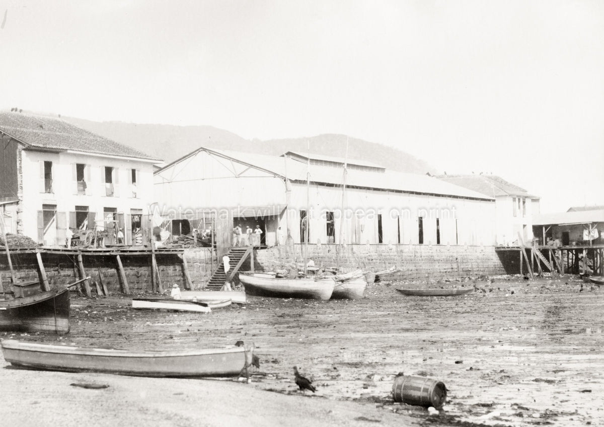 Panama Market Landing Place Waterfront Boats Buildings Docks Vtg. Photo 19thC.