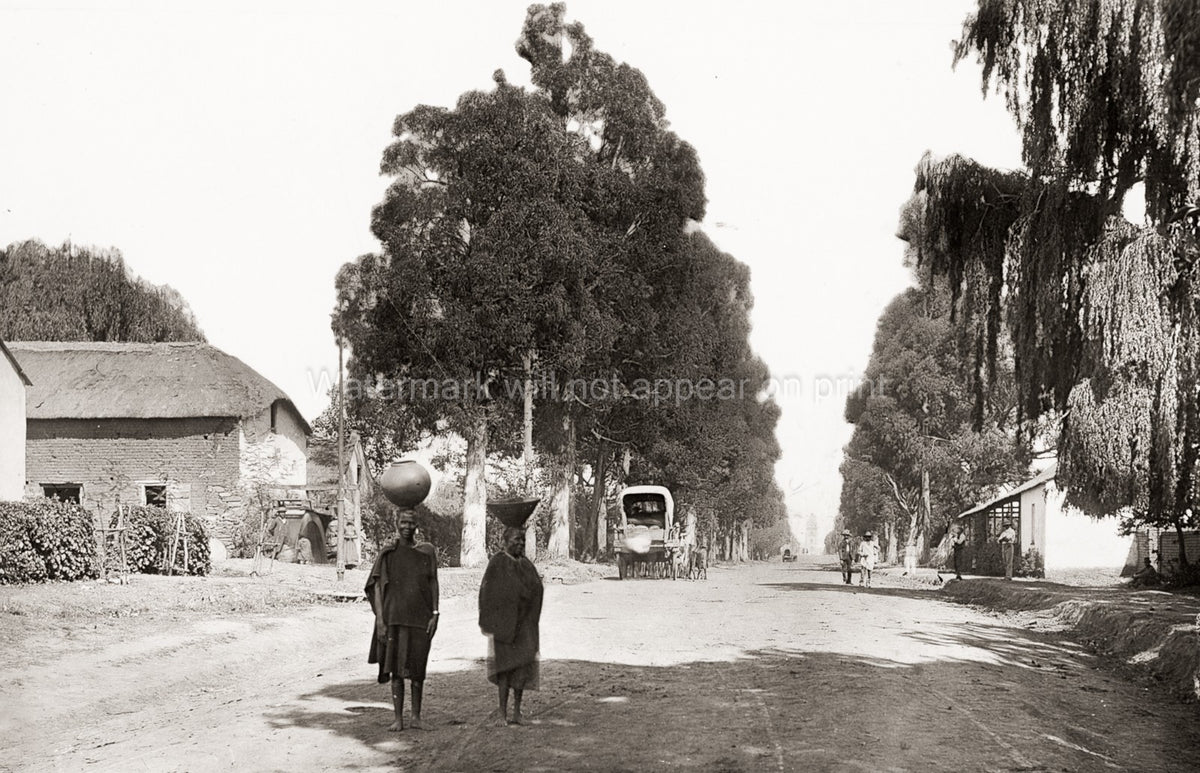 Church Street Pretoria South Africa People Wagon Thatched Roof Vtg. Photo 19thC.