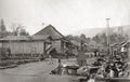 Japanese Village Street Life Rural People Thatched Roofs Vtg. Photo 19thC.