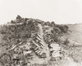 Madagascar Hill Town Village Thatched Huts Rural Dwellings Vtg. Photo 19thC.