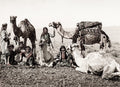 Egypt Camel Train Halt Desert Drivers Caravan Nomads Vtg. Photo 19thC.