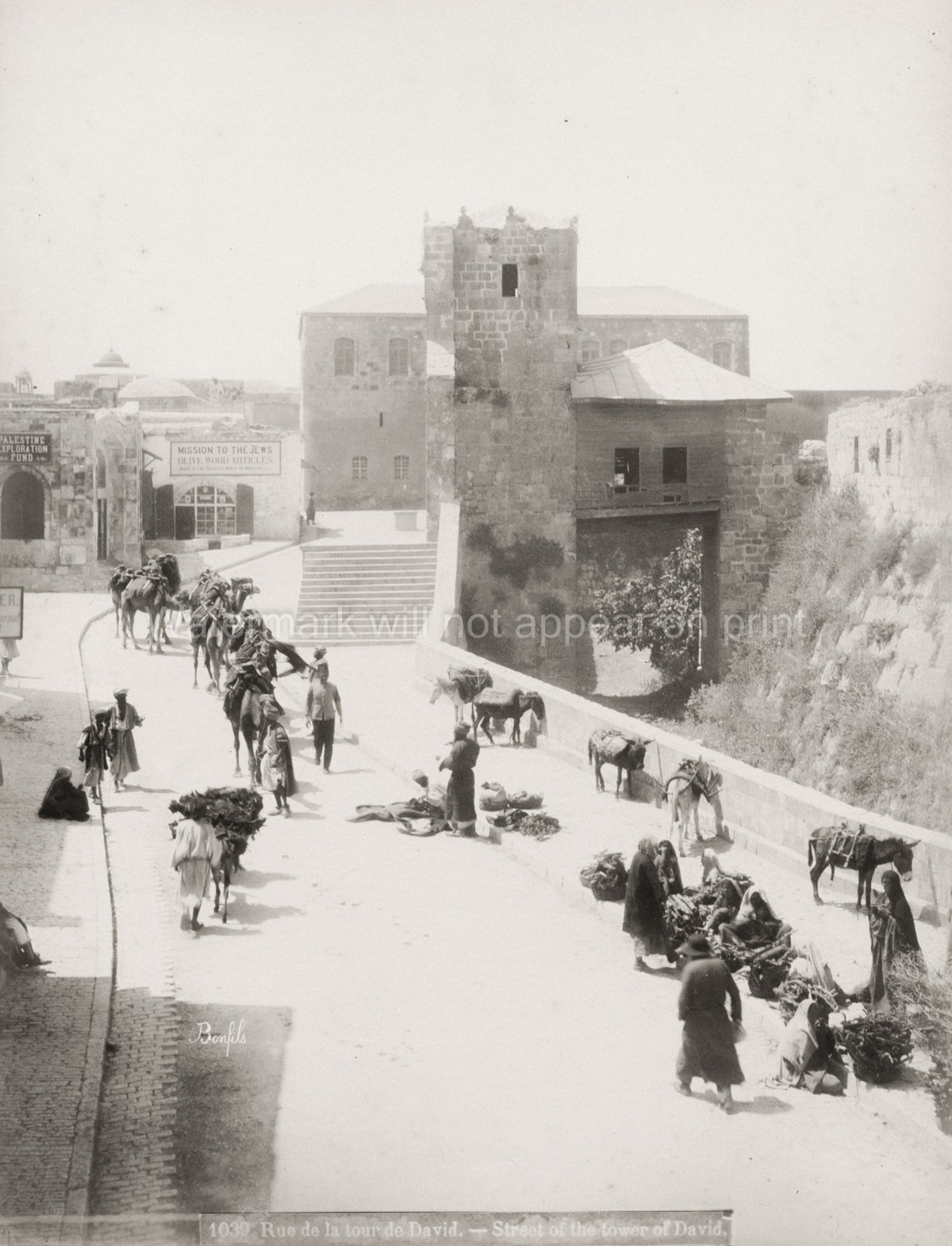 Jerusalem Tower David Street Scene Camels Donkeys Market Holy Vtg. Photo 19thC.