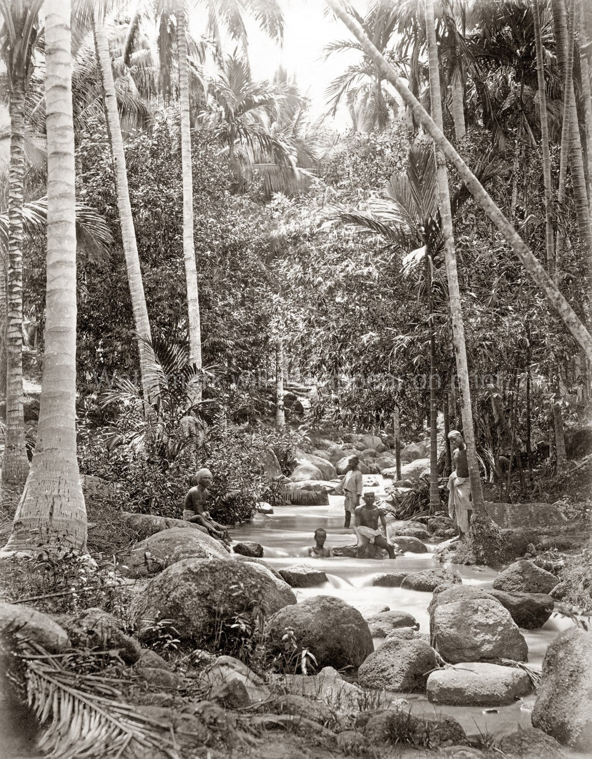 Ceylon Sri Lanka Stream Bathers Jungle Palm Trees River Rocks Vtg. Photo 19thC.