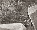 India Tiger Hunt Big Game Hunting Hunters Jungle Rocks Men Vtg. Photo 19thC.