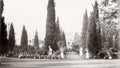 India Residency Garden Gardeners Cypress Trees Pathway Vtg. Photo 19thC.