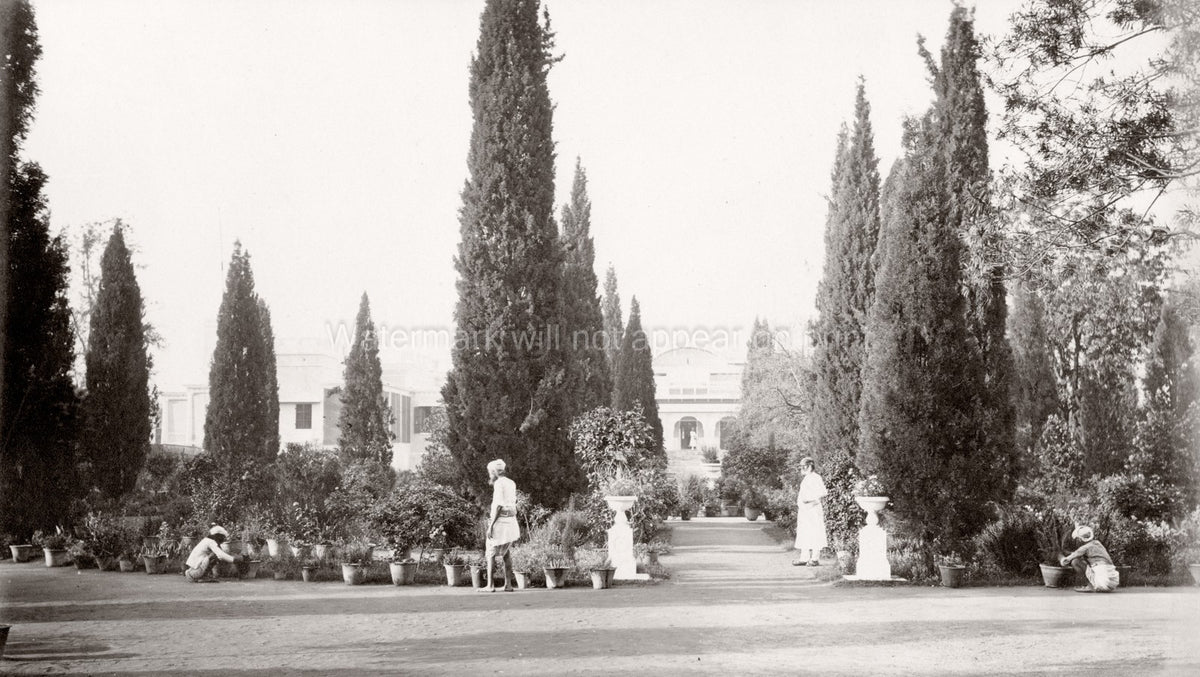 India Residency Garden Gardeners Cypress Trees Pathway Vtg. Photo 19thC.