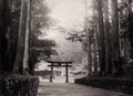 Nikko Japan Temple Torii Gate Forest Path Shrine Architecture Vtg. Photo 19thC.