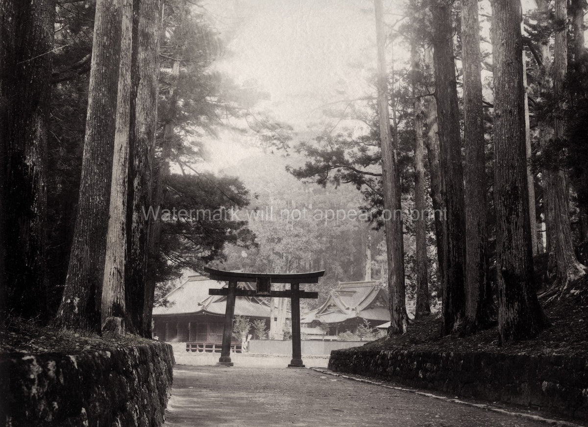 Nikko Japan Temple Torii Gate Forest Path Shrine Architecture Vtg. Photo 19thC.