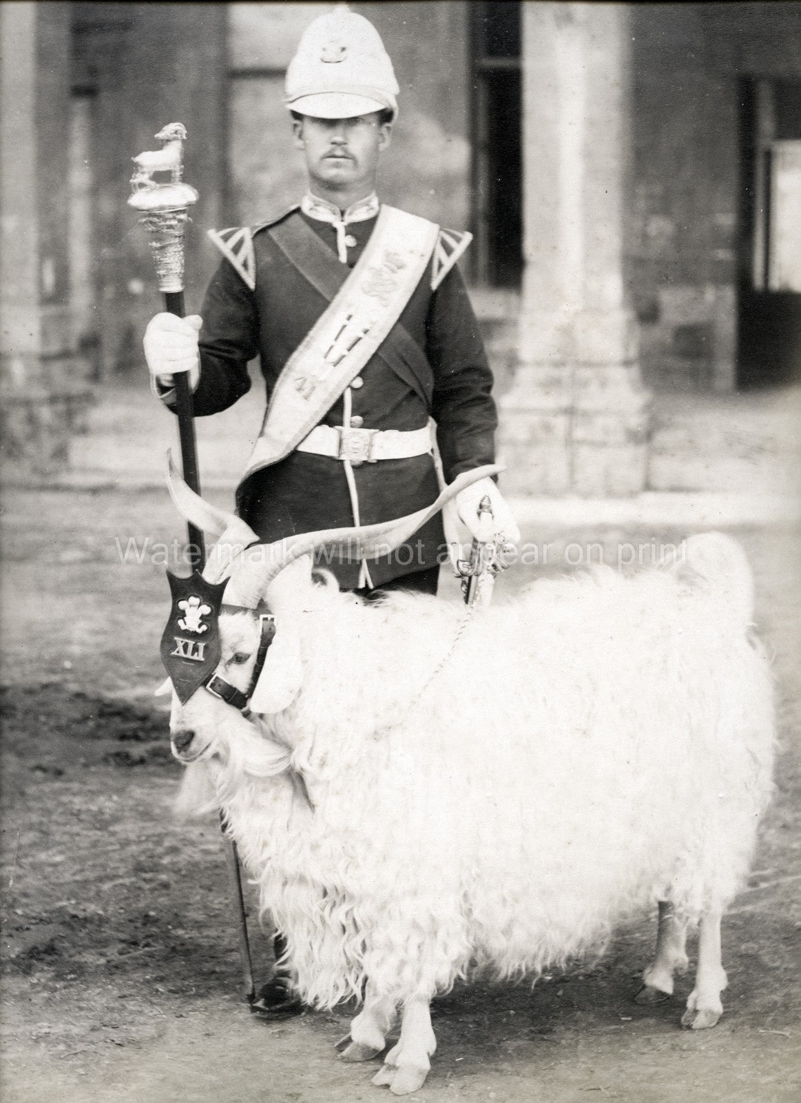British Army 41st Regiment Foot Billy Goat Mascot Soldier Vtg. Photo 19thC.