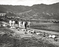 Hong Kong Execution Namoan Pirates Beheading Crime Scene Vtg. Photo Late 19thC.