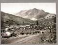 Gunnison Colorado Cowboys Cattle Round-Up Ranching Western Vtg. Photo 19thC.
