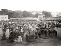 Tangier Morocco Market Scene Souk Crowd Donkeys Gateway Vtg. Photo 20thC.
