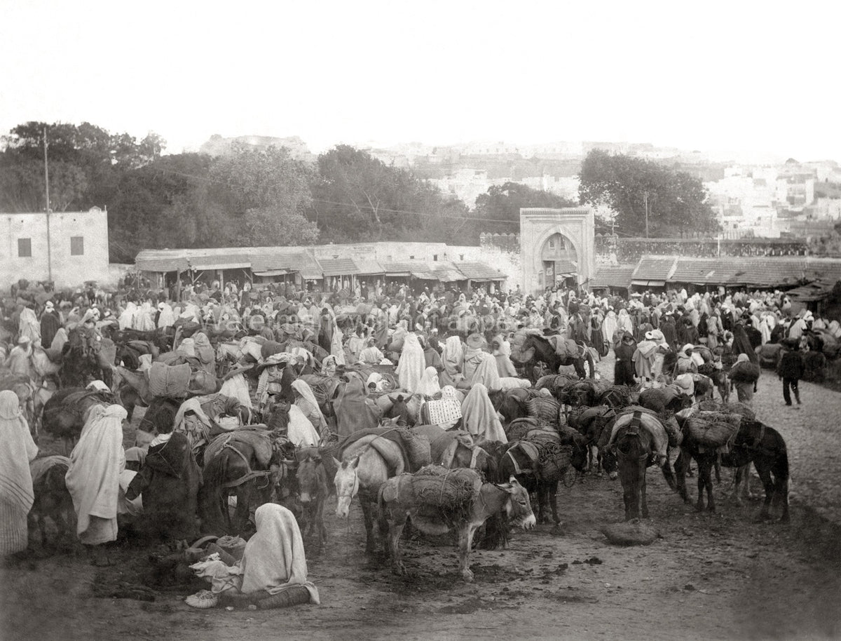 Tangier Morocco Market Scene Souk Crowd Donkeys Gateway Vtg. Photo 20thC.