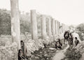 Colonnade Samaria Palestine Holy Land Ancient Ruins Camels Vtg. Photo 19thC.