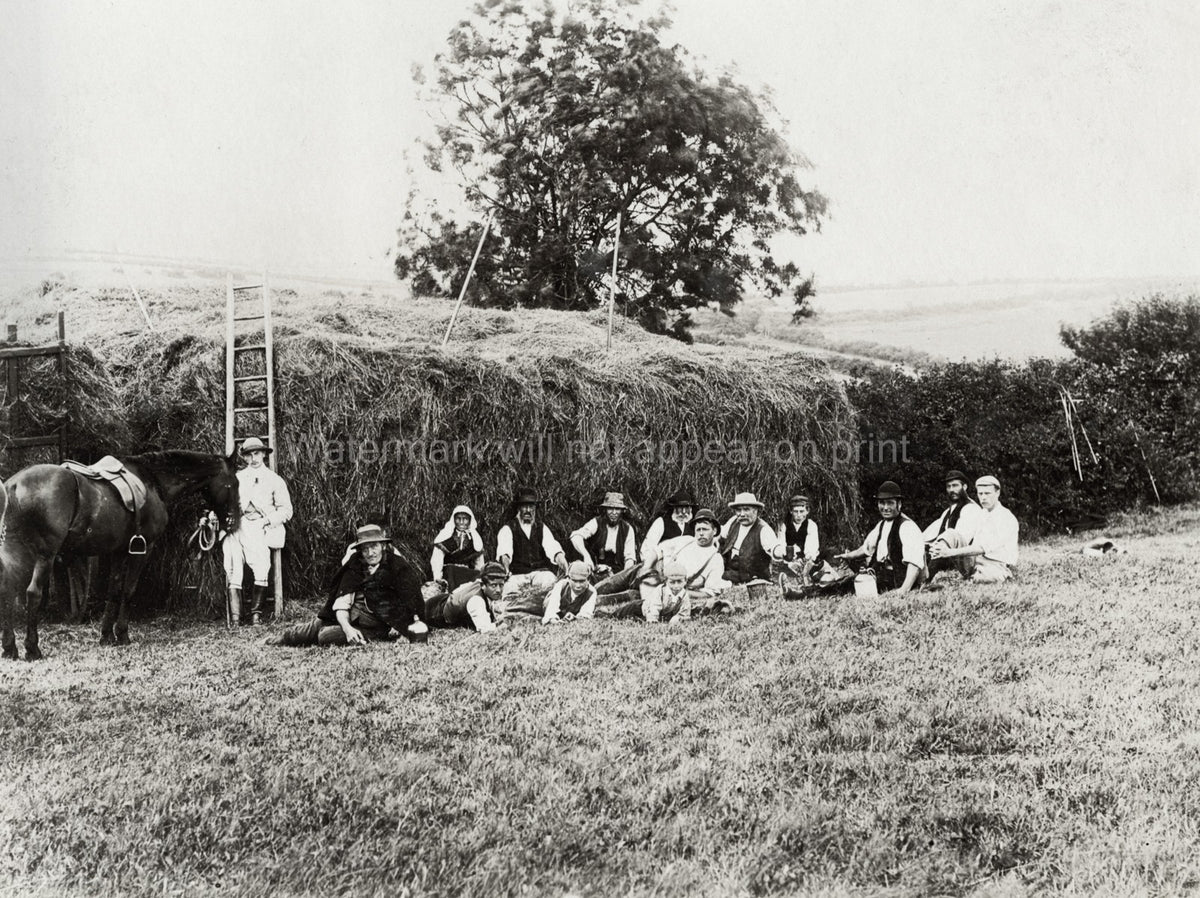 Farm Workers Haymaking Lunch Break Rural Field Horse Group Vtg. Photo 19thC.