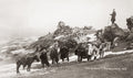 Mexico Popocatpetl Volcano Travellers Mountain Expedition Vtg. Photo 19thC.