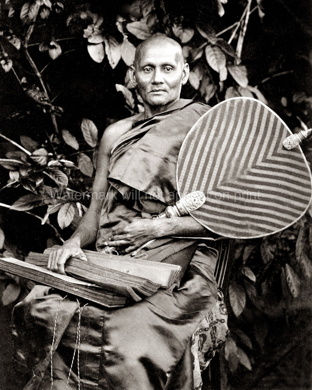 Ceylon Sri Lanka Buddhist Priest Monk Portrait Robes Fan Vtg. Photo 19thC.