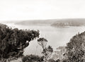 Sydney Harbour Australia Bay Bushland Landscape Pier Shoreline Vtg. Photo 19thC.