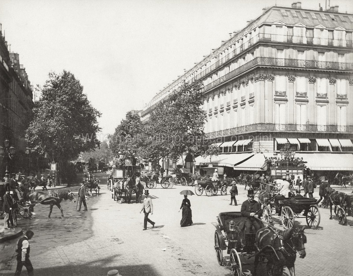 Paris France Boulevard Street Scene Architecture Carriages Vtg. Photo 19thC.