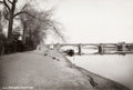 Nottingham Trent Bridge River Towpath Barge Landscape Vtg. Photo 19thC.
