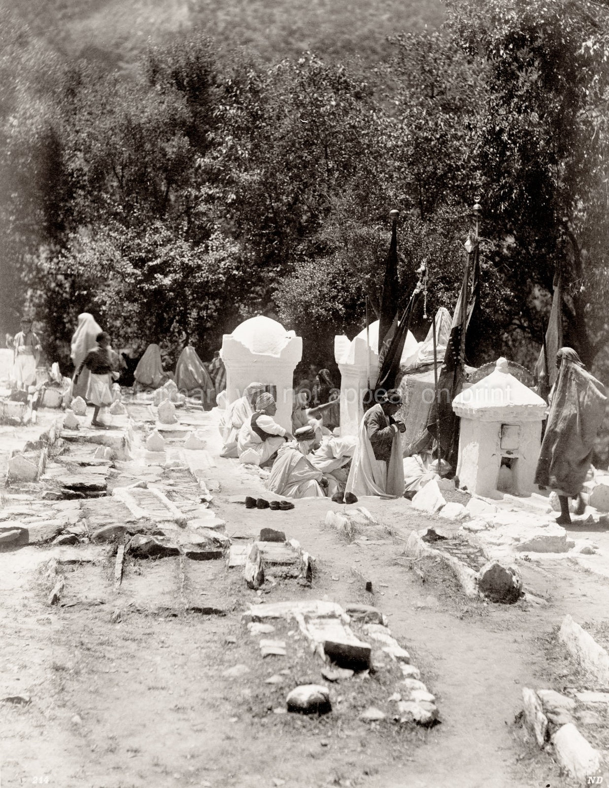 Muslim Cemetery Religious Ceremony Blida Algeria Mourners Vtg. Photo 19thC.