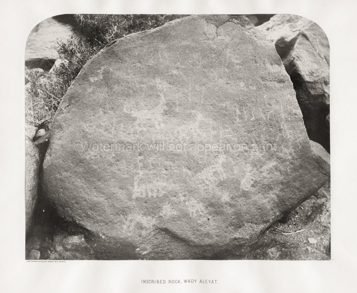 Wady Aleyat Sinai Inscribed Rock Petroglyph Ancient Carving Vtg. Photo 19thC.