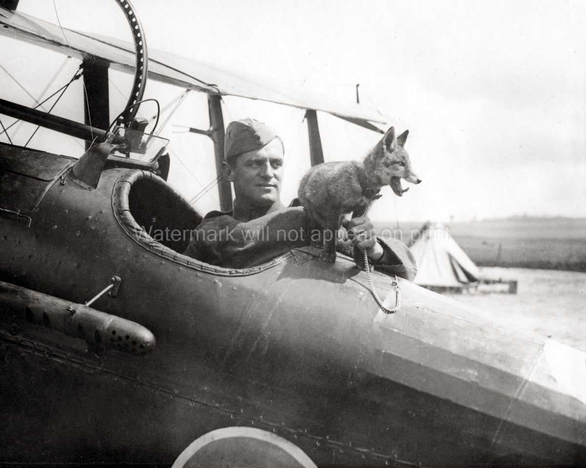 RAF Pilot Fox Mascot Biplane Cockpit WW1 Soldier Vtg. Photo