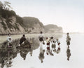 Japanese Women Picking Shellfish Seashore Kimono Baskets Vtg. Photo 19thC.