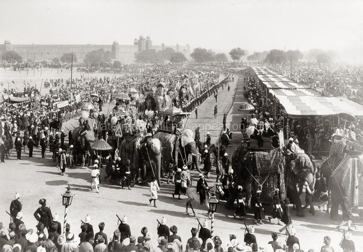 India Delhi Durbar Ceremony Elephants Procession Parade Crowd Vtg. Photo 19thC.