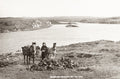 Bringing Home Peat South Uist Scotland Woman Ponies Baskets Vtg. Photo 19thC.