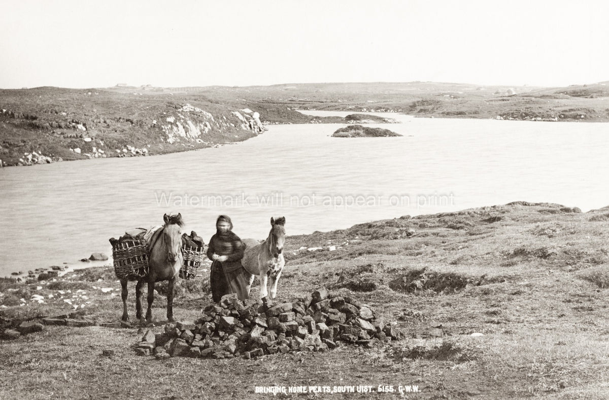 Bringing Home Peat South Uist Scotland Woman Ponies Baskets Vtg. Photo 19thC.