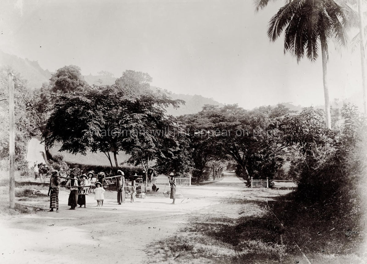 Singapore European Children Sedan Chair Porters Tropical Road Vtg. Photo 19thC.