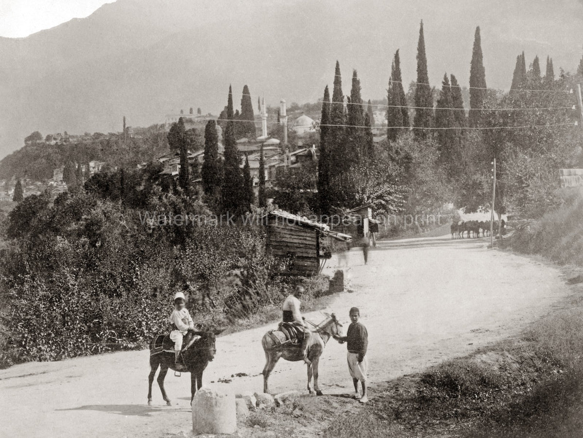 Brousse Bursa Turkey People Donkeys Village Mosque Cypress Vtg. Photo 19thC.