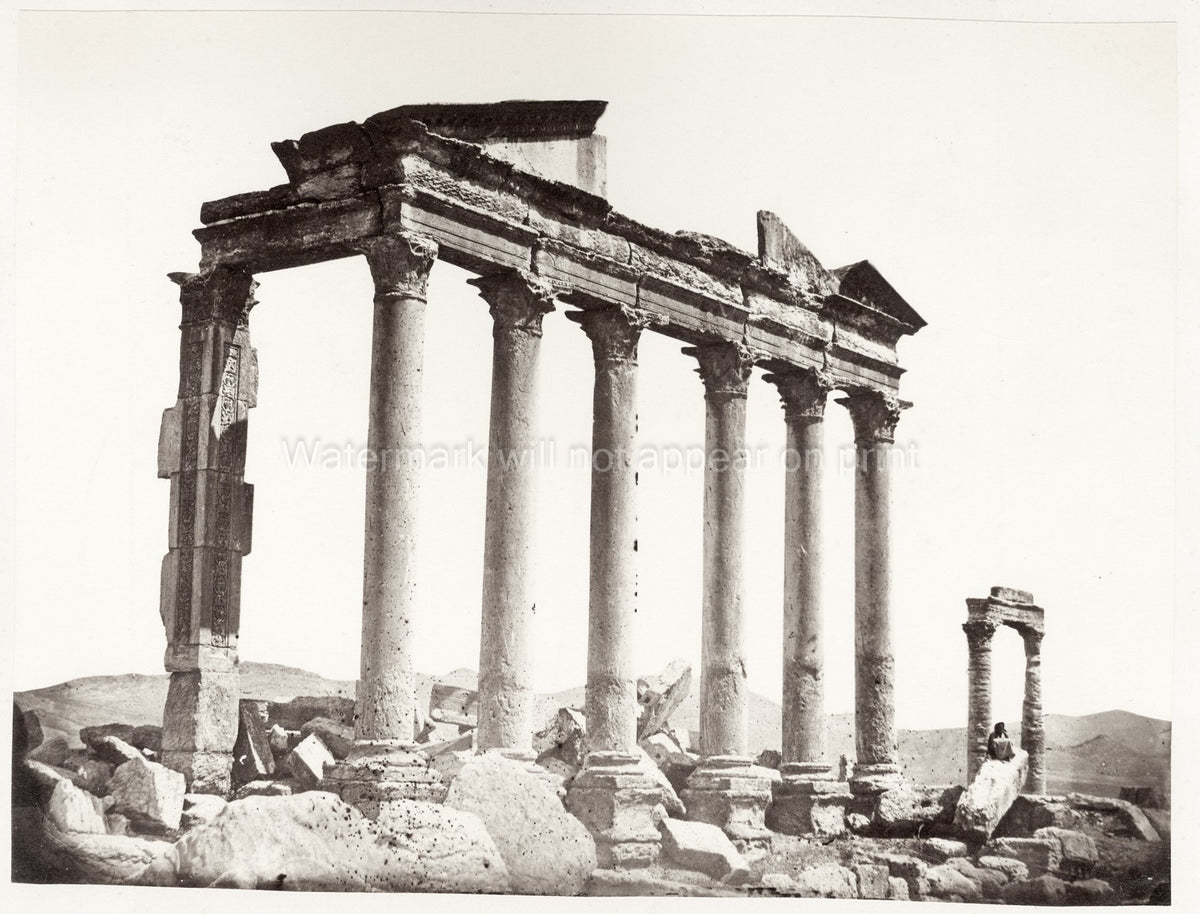 Palmyra Syria Temple Ruins Ancient Roman Columns Archaeology Vtg. Photo 19thC.