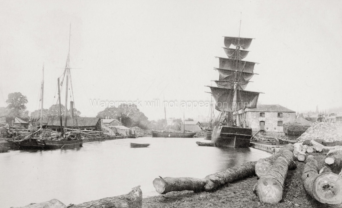 Exeter Devon Timber Wharf Sailing Ships Harbor Logs Masts Vtg. Photo 19thC.
