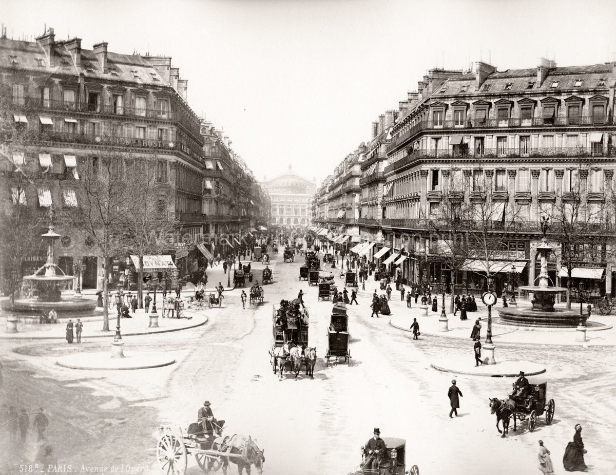Paris Avenue de L'Opera France Traffic Street Scene Carriages Vtg. Photo 19thC.