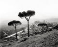 Monreale Palermo Sicily Italy Hillside View Cathedral Vtg. Photo 19thC.