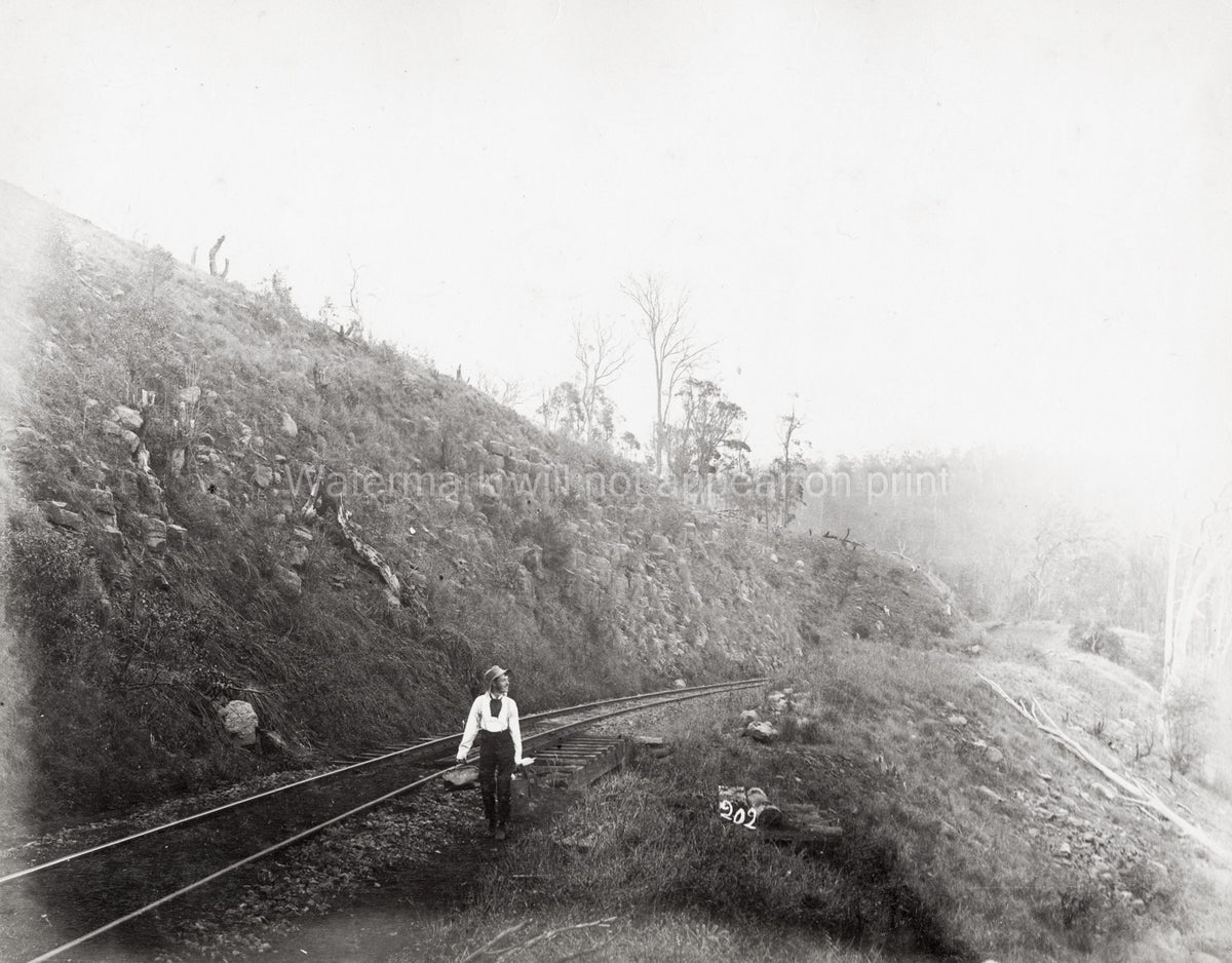 Main Range South West Railway Queensland Australia Man Tracks Vtg. Photo 19thC.