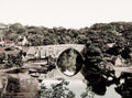 Brig o' Balgownie Aberdeen Scotland Stone Arch Bridge River Vtg. Photo 19thC.