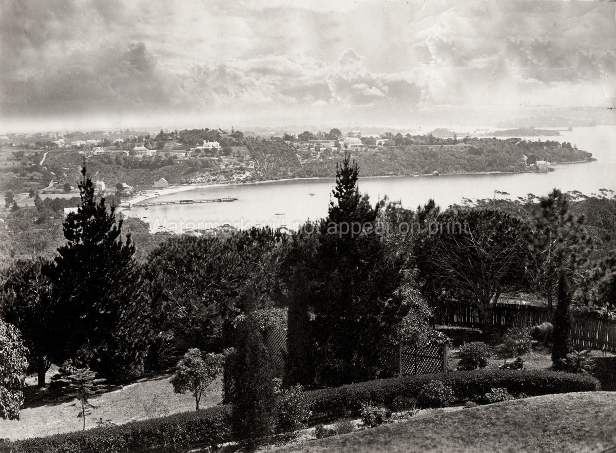 Sydney Australia Harbour View Bay Pier Mansions Landscape Vtg. Photo 19thC.