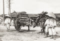 Korea Oxen Transporting Wood Farmers Rural Village Labor Vtg. Photo 20thC.