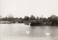 London Swan Pond Wandsworth Common Swans Lake Bridge Scenery Vtg. Photo 19thC.