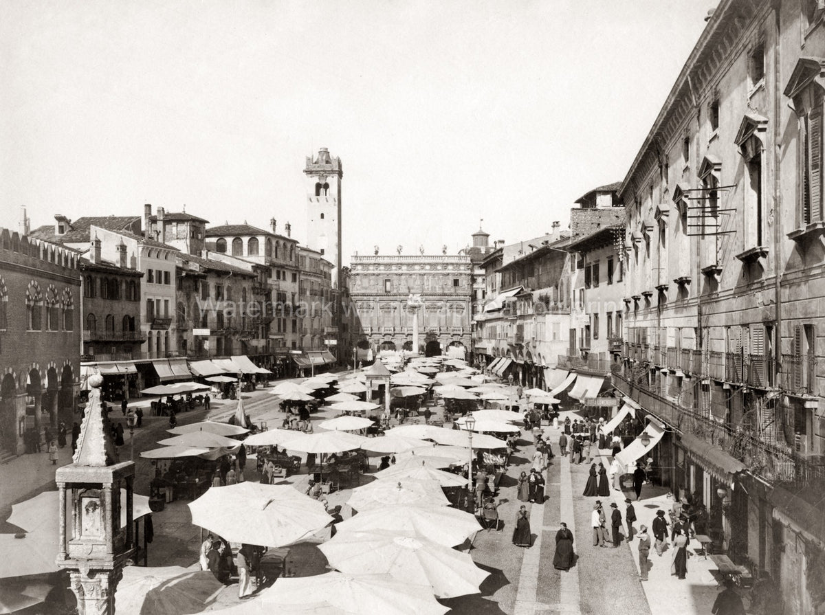Verona Piazza Erbe Market Scene Italy Architecture Umbrellas Vtg. Photo 19thC.