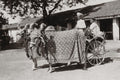 India Decorated Cattle Bullock Cart Transportation Men Vtg. Photo 19thC.