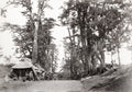 Tokaido Road Japan Travelers Kyoto Tokyo Beato Studio Vtg. Photo 19thC.
