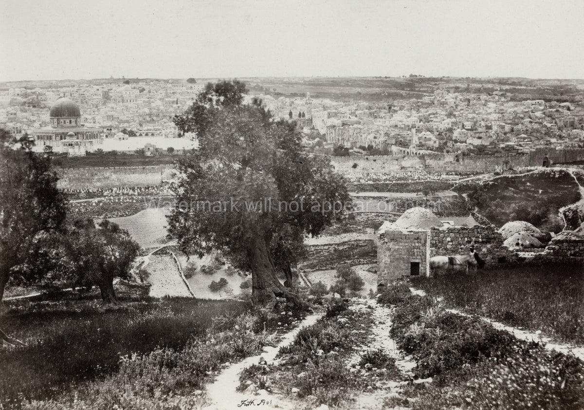 Jerusalem Cityscape Mount Olives Old City Walls Dome Vtg. Photo 19thC.